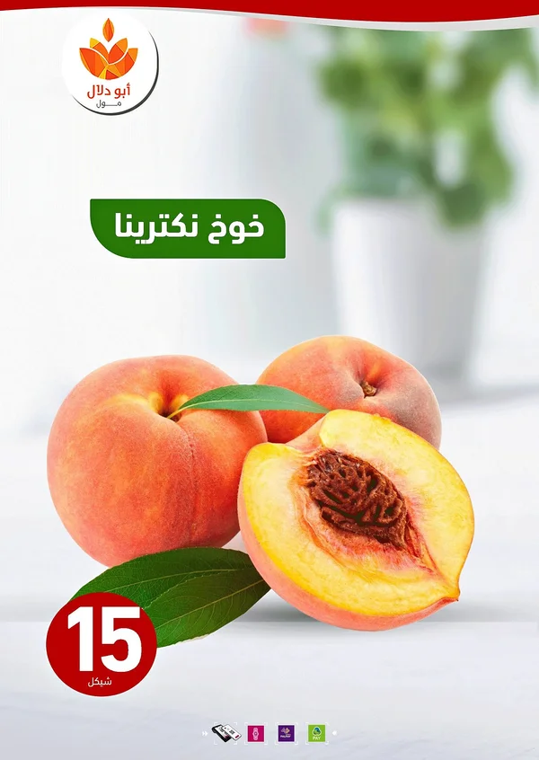 خوخ نكترينا - أبو دلال مول - مواد غذائية وبقالة - سوق غزة