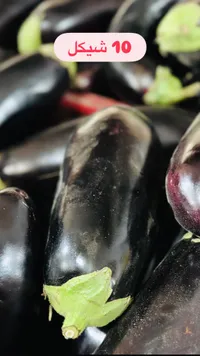 الباذنجان الطازج