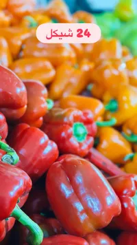 فلفل أحمر طازج 24 حبة
