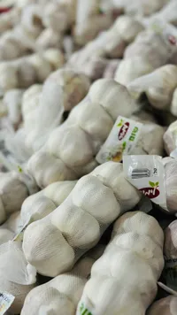 شبر الثوم الطازج