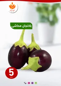 باذنجان محاشي - أبو دلال مول - سوق غزة