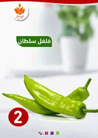 فلفل أخضر - سلطان - سوق غزة