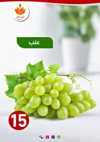 عنب أخضر - أبو دلال مول - سوق غزة