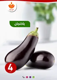 باذنجان طازج - أبو دلال مول - سوق غزة