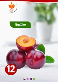 برقوق سنت روزا - أبو دلال مول - سوق غزة