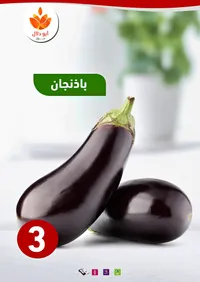 باذنجان طازج - أبو دلال مول - سوق غزة