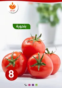 بندورة طازجة - أبو دلال مول - سوق غزة