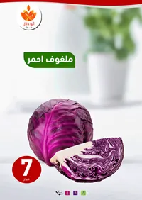 ملفوف أحمر طازج - مول أبو دلال - سوق غزة