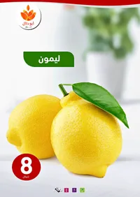ليمون طازج - أبو دلال مول - سوق غزة