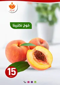 خوخ نكترينا - أبو دلال مول - سوق غزة