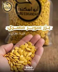 فول سوداني مصري - أبو إسكندر