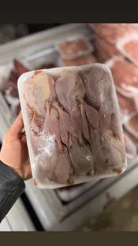 صدور دجاج طازة