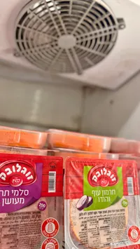 مرتديلا دجاج بالباذنجان - زوجلوبك (Zoglovek)