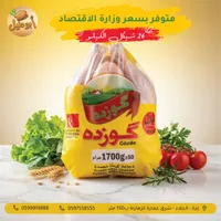 دجاج مجمد غوزده - Gözde Frozen Chicken