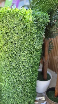نبات صناعي أخضر - ديكور جداري