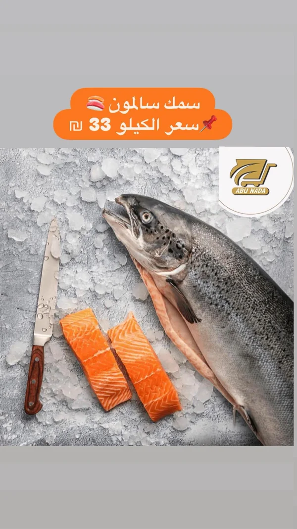 سمك سالمون طازج - أبو ندى - مواد غذائية وبقالة - سوق غزة