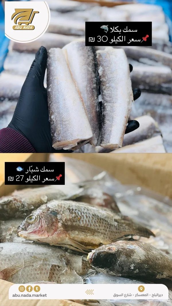 سمك بكلا مجمد - أبو ندى - مواد غذائية وبقالة - سوق غزة