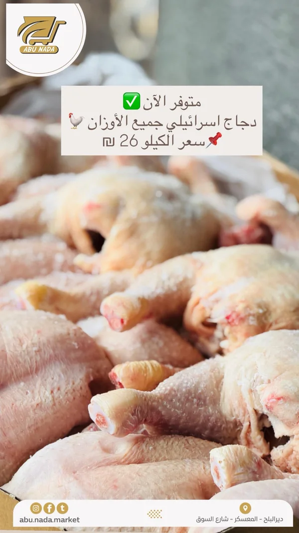 دجاج طازج - أبو ندى - مواد غذائية وبقالة - سوق غزة