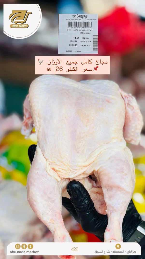 دجاج كامل طازج - أبو ندى - مواد غذائية وبقالة - سوق غزة