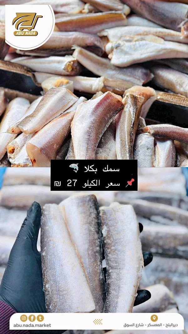 سمك بكلا مجمد - سوق أبو ندى - مواد غذائية وبقالة - سوق غزة