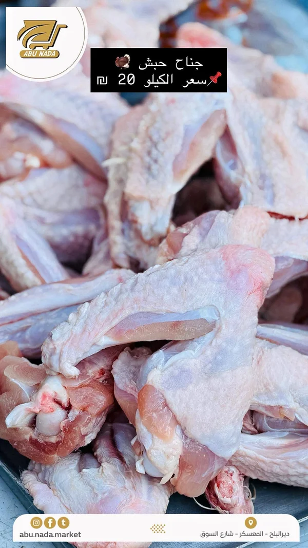 جناح حبش طازج - سوق أبو ندى - مواد غذائية وبقالة - سوق غزة