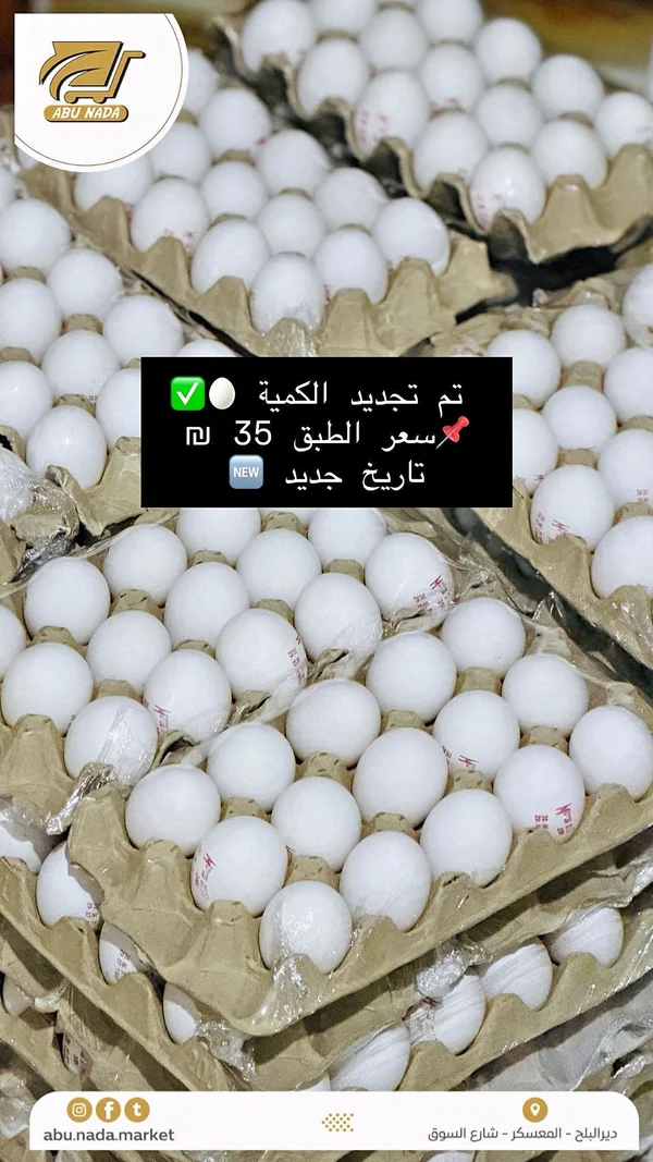 بيض طازج - أبو ندى - مواد غذائية وبقالة - سوق غزة