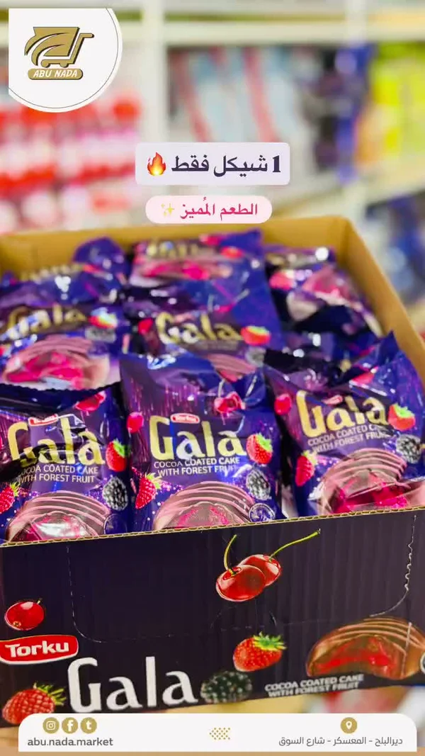 كيك مغطى بالشوكولاتة بالفواكه الحرجية - جالا (Torku) - مواد غذائية وبقالة - سوق غزة