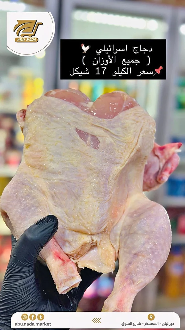 دجاج إسرائيلي - أبو ندى - مواد غذائية وبقالة - سوق غزة