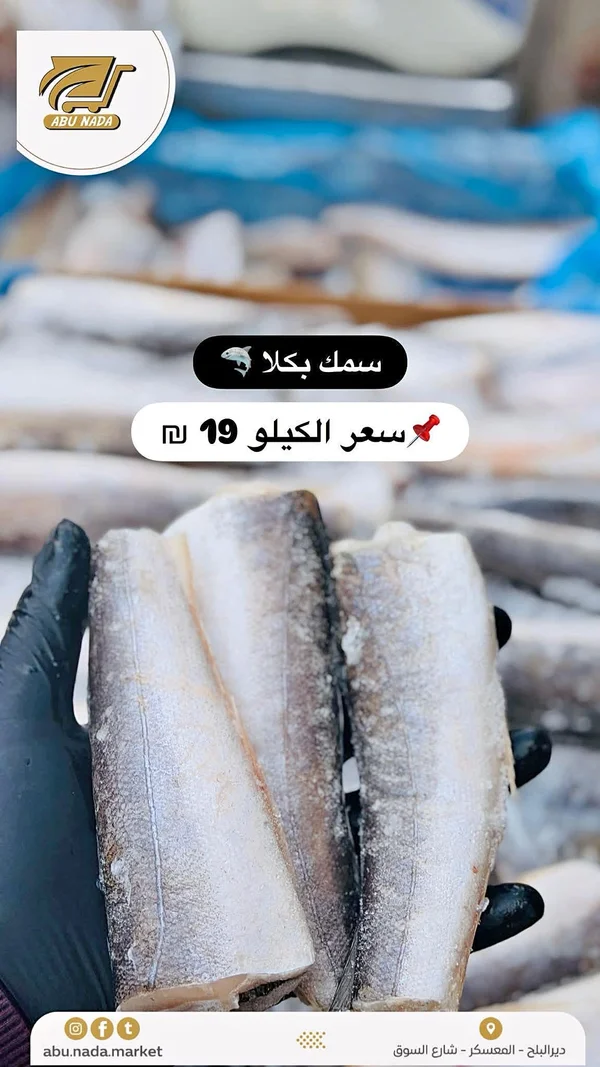 سمك بكلا - أبو ندى - مواد غذائية وبقالة - سوق غزة