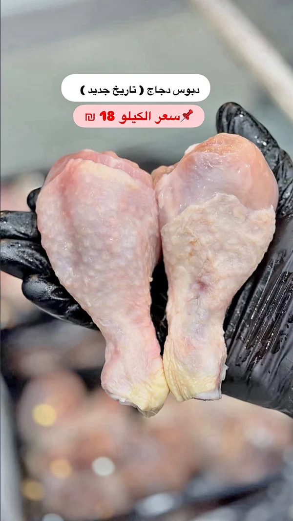 دبوس دجاج (تاريخ جديد) - مواد غذائية وبقالة - سوق غزة
