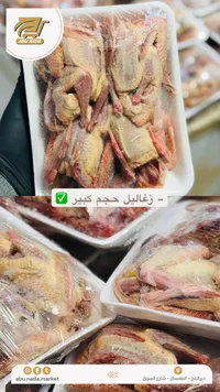 جناح دجاج مجمدة - أبو ندى