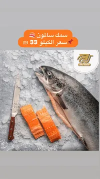 سمك سالمون طازج - أبو ندى (Abu Nada) - سوق غزة