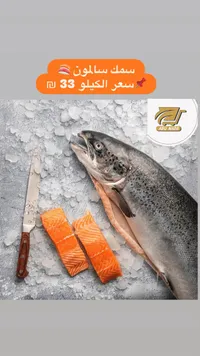 سمك سالمون طازج - أبو ندى - سوق غزة