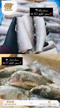 سمك بكلا مجمد - أبو ندى - سوق غزة