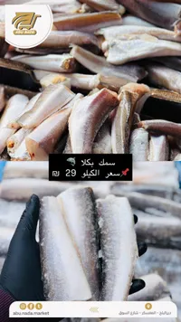 سمك بكلا طازج - سوق أبو ندى - سوق غزة