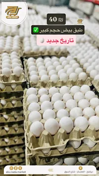 طبق بيض طازج حجم كبير - أبو ندى - سوق غزة