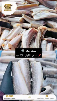 سمك بكلا طازج - أبو ندى - سوق غزة