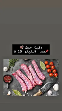 رقبة حبش طازجة - سوق غزة