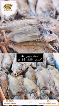 سمك دنيس - أبو ندى (Abu Nada) - سوق غزة