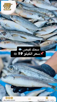 سمك غبص - أبو ندى - سوق غزة