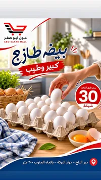 بيض طازج كبير - مول أبو صفر - سوق غزة