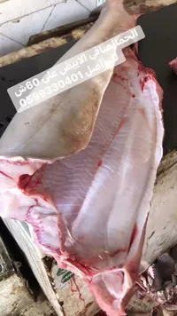 سمك فيليه طازج