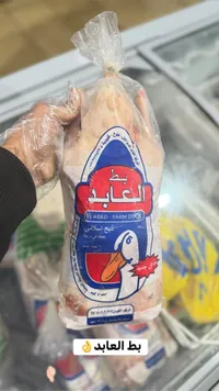 بط العابد - دجاج مجمد