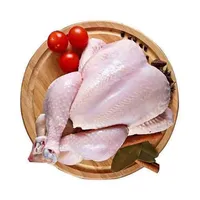 دجاج طازج كامل