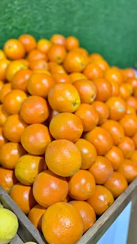 برتقال طازج