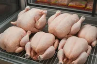 دجاج كامل طازج