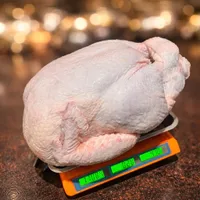 دجاج طازج كامل