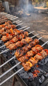 شيش طاووق لحم مشوي