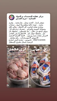 دجاج طازج - مركز عفافة للمجمدات والمواد الغذائية