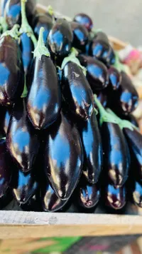باذنجان طازج